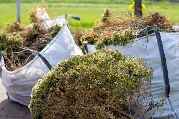 Best Trash Removal Near Me  in Crest, CA